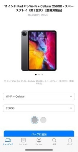 iPad Pro Apple Pencil2 ケース付き
