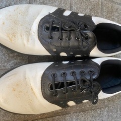 adidas GOLF 25.5cm アディダス　ゴルフシューズの画像