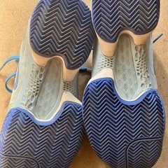 ⭐︎NIKE 水色 23.5cm 中古品の画像