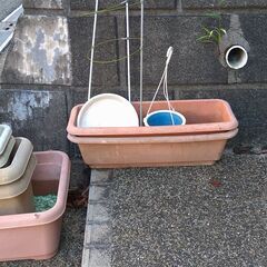 植木鉢の画像