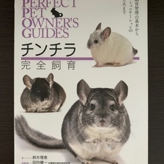 チンチラ　完全飼育