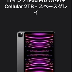 新品未使用11インチiPad Pro第4世代Wi-Fi cell...