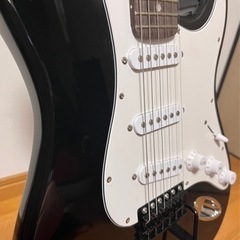 SELDER エレキギターの画像