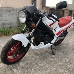 ホンダ　VT250F   書類付レストアベース車の画像