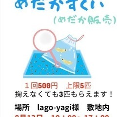 メダカ掬い　8月13日　松江市　ラーゴ敷地内の画像