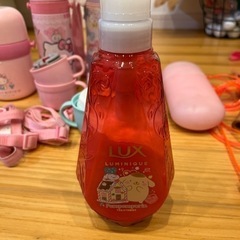 水筒3種、折りたたみ傘、下着などの画像