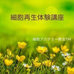 未来の健康をつくる✨細胞科学基礎講座　９月開講✨【細胞科学体験会実施中】期間限定無料の画像