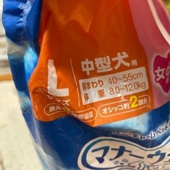 マナーウェアLサイズ女の子の画像