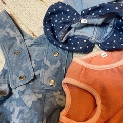 ペット 4号(Lサイズ)6点まとめの画像