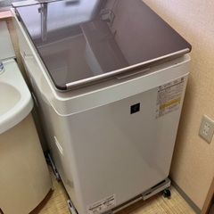 10kg シャープ　約1ヶ月前に購入