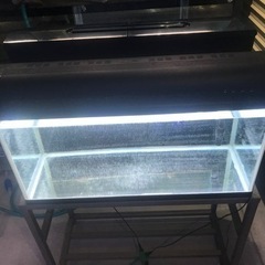 (中古)大型水槽 - 90cm水槽 お譲り先決定‼️‼️ 大型水槽 900水槽フルセット 水槽機材