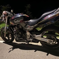 ホーネット250 カスタム多数