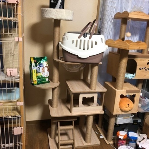 美品キャットタワー＆猫ちゃんケアセット（お取引は吹田or堺 新金岡駅近辺で）