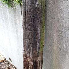 枕木