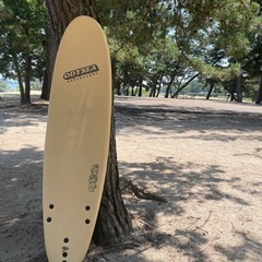 🔰スポンジボード  お安く譲って頂けませんか🔰