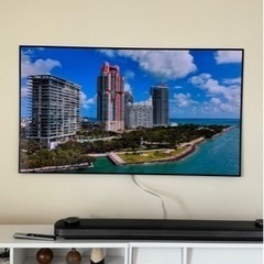 LG 壁掛専用 有機ELテレビ65型 大幅値下げしました！！
