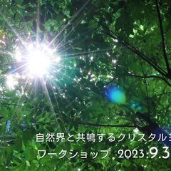 自然界と共鳴するクリスタルヨガワークショップ