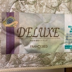 フランスベッド　スプリングマットのみ　の画像