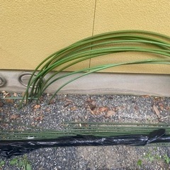 園芸用品①色々の画像