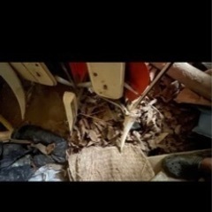 クボタ 説明欄必読 R1-11 小型 その他コメントください の画像