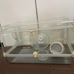 ハムスター飼育セット①