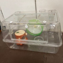 【お取引中】ハムスター飼育セット②