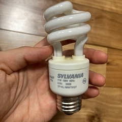 電球　種類バラバラの画像