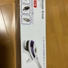 Steam Iron SY-066