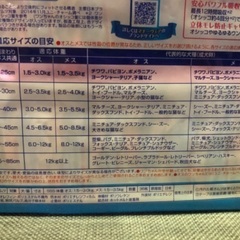 犬のマナーウェアお譲りしますの画像