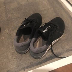 NIKE メトコン5　靴　27.5センチ メンズ、レディースの画像
