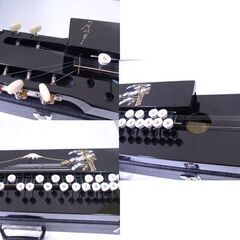 美品 大正琴  ハードケース付き 楽器 琴  入門用 札幌 西岡店の画像