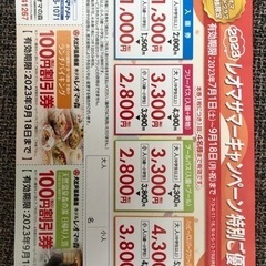 レオマワールド サマーキャンペーン優待券　2枚の画像
