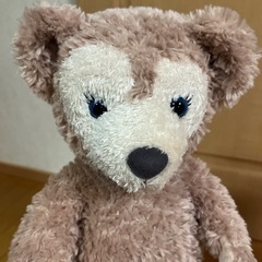 シェリーメイの画像