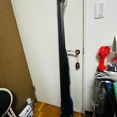 【予約中】Hallstatt WBSE-850 “IKEBE ORIGINAL COLOR” (TBL) [アップライトベース]の画像