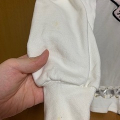 ハニーシナモンの画像