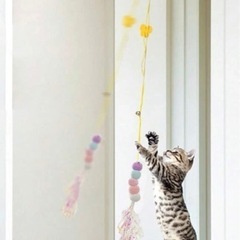 😻猫ちゃん😻用トイレ&爪研ぎ💓色々&新品未使用！✨の画像