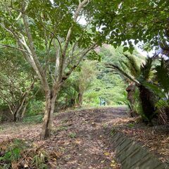 「キャンプ野営地を作りませんか。」 - 品川区
