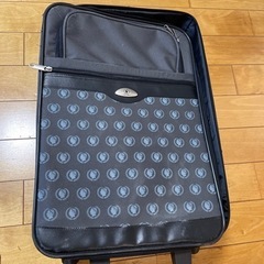 キャリーバッグ差し上げます