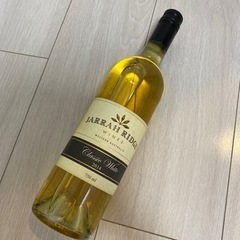 ワイン　果実酒