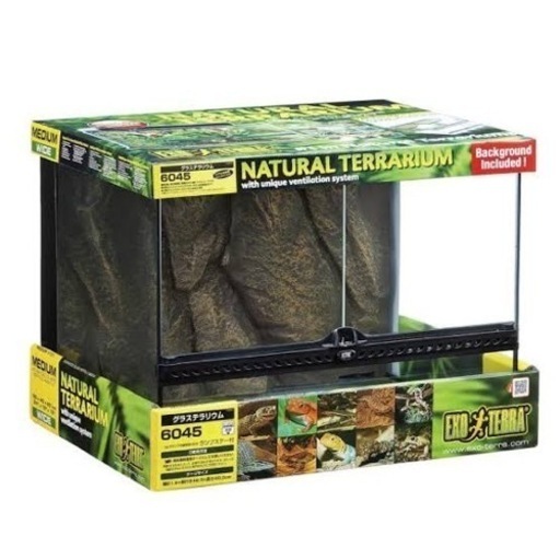 グラステラリウム6045