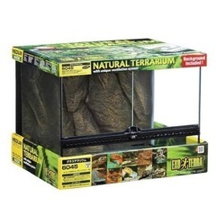 グラステラリウム6045