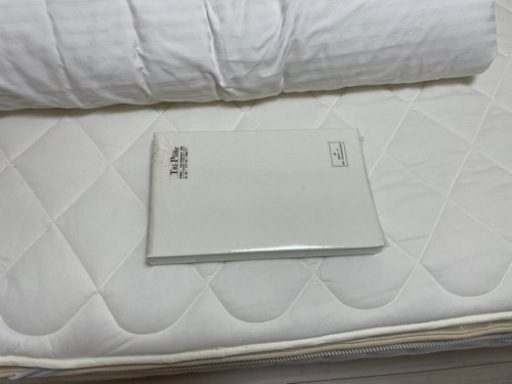 ニトリ　シングルベット Nスリーププレミアム すのこベット付き コンセント付き