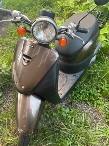 【最終値下げ！！】　HONDA TODAY 原付バイク