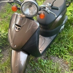 【最終値下げ！！】　HONDA TODAY 原付バイク