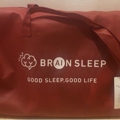 新品】ブレインスリープピロー LOW (低め) + ピローカバー アクティブ