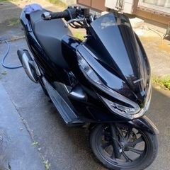pcx125の画像