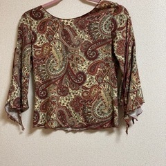 ペイズリー柄カットソーの画像