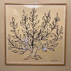 マティス 低木の画像