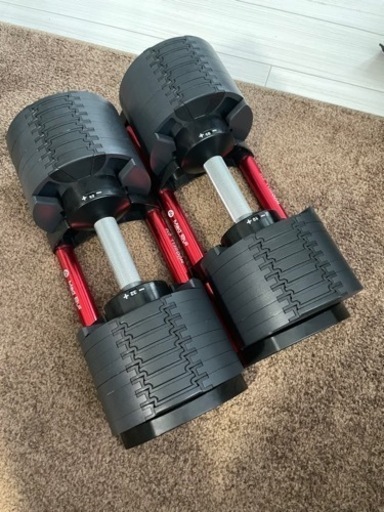 可変式ダンベル×2(FLEXBELL×Mad Bull)