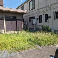 草むしり 草刈り 芝刈り 業務用除草剤 でお庭をきれいにします！...
